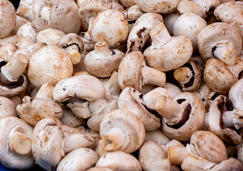Mushrooms on the market