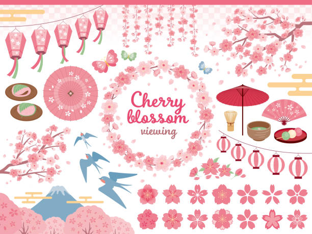 illustration set von kirschblüten-betrachtung und tee-zeremonie im frühjahr - kirschbaum stock-grafiken, -clipart, -cartoons und -symbole