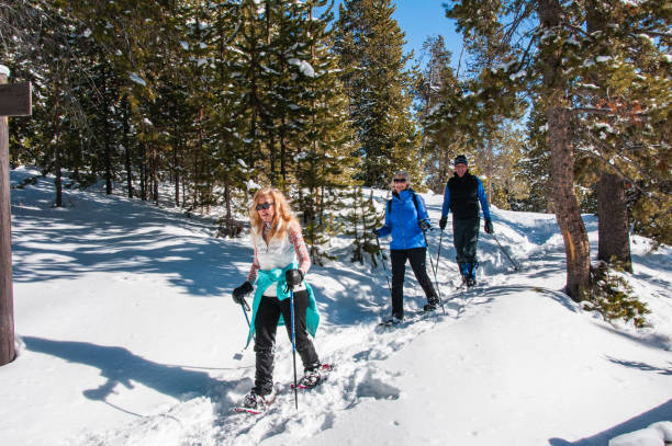 ciasciò nel parco nazionale di yellowstone - snowshoeing foto e immagini stock