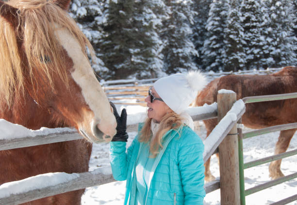 istock Woman petting a horse 1302350650