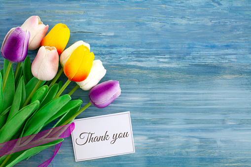 A bouquet of brightly coloured tulips with a card saying thank you. \nShot from above on blue rustic wood with copy space to the right of the image.