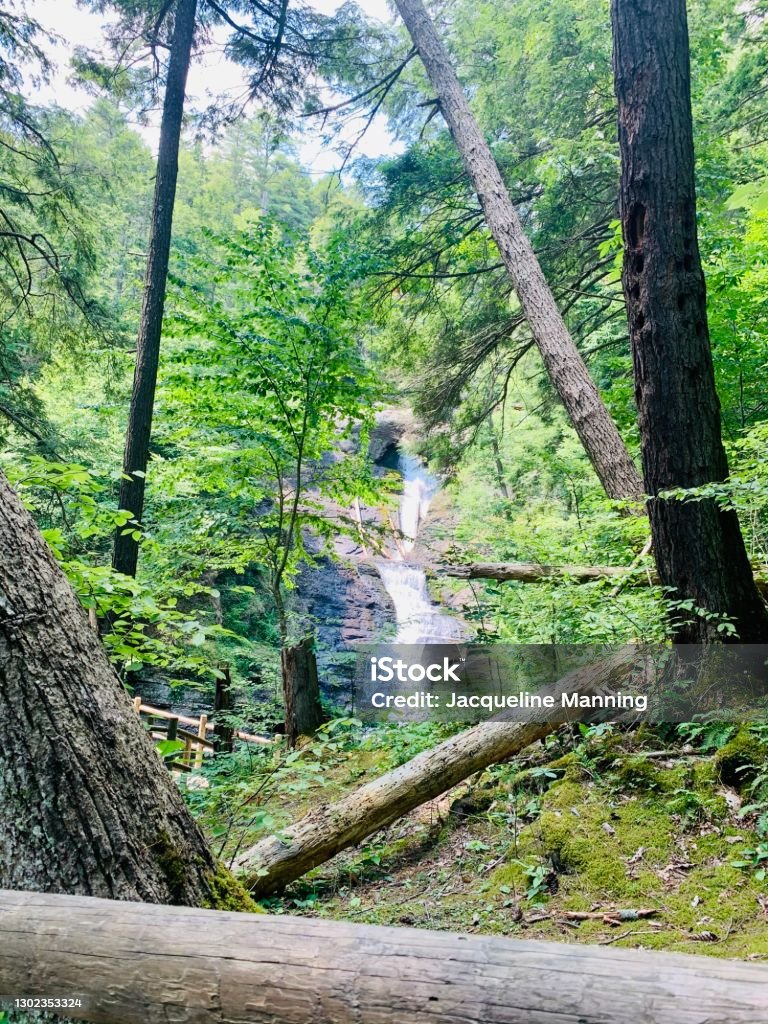 Wtaerfall Tree Waterfall Through The Fallen Trees Stock Photo - Download Image Now ...