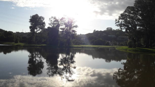 istock Dawn in the Park 1302353566
