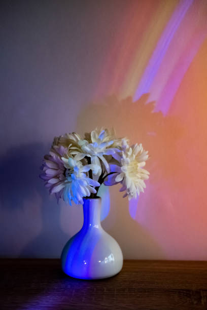 décor maison composition florale fleurs néon arc-en-ciel - flower pot vase purple decor photos et images de collection