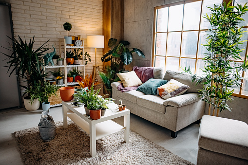 Living room with warm mood