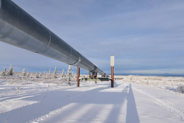 Alaska Pipeline winter landscape stock photo