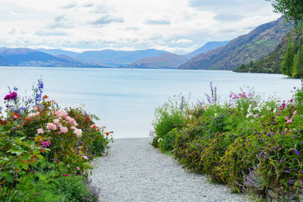 istock Shingle path between roses and wildflowers  leading to lake edge 1302367219