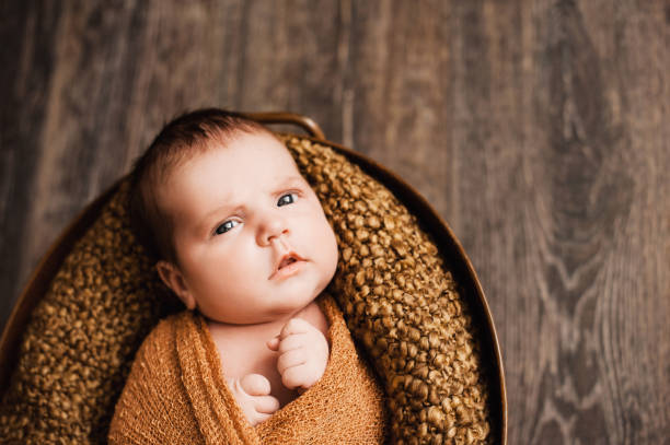 3. новорожденная девочка, завернутая в вязаное коричневое одеяло, смотря в камеру - baby animal nest newborn lying down стоковые фото и изображения