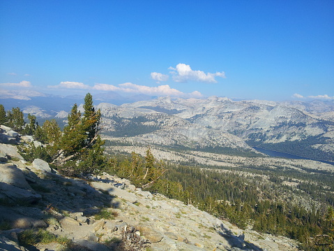 View of the High Sierra mountains from Mt Hoffman trail, Yosemite National Park, California