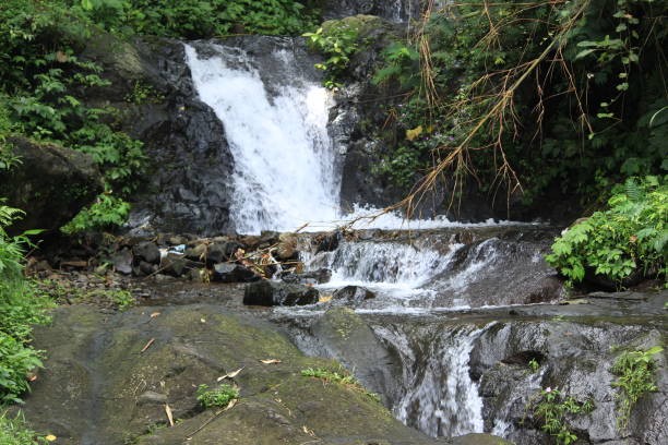 istock beautiful clear river flow in tropical forest. 1302376605