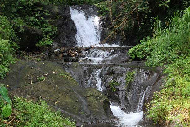 istock beautiful clear river flow in tropical forest. 1302376678