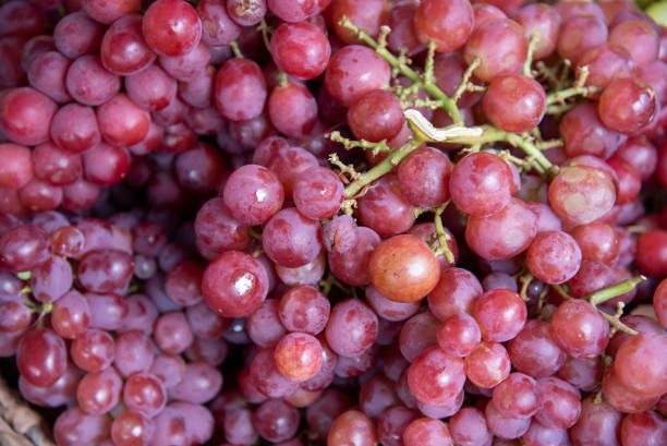 uve biologiche su una bancarella del mercato - grape red grape red farmers market foto e immagini stock