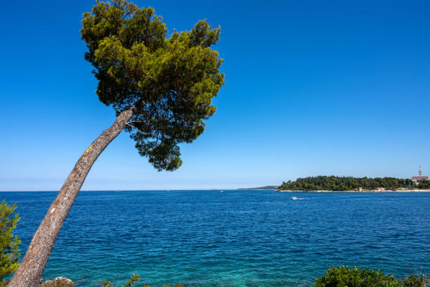 View from sailing boat at blue sea, blue sky and green islands around as sailing tranquility on Adriatic sea in Croatia.  It is central Dalmatia coast not far from big Town Zadar on Croatian mainland.  Adriatic Sea as part of Mediterranean.