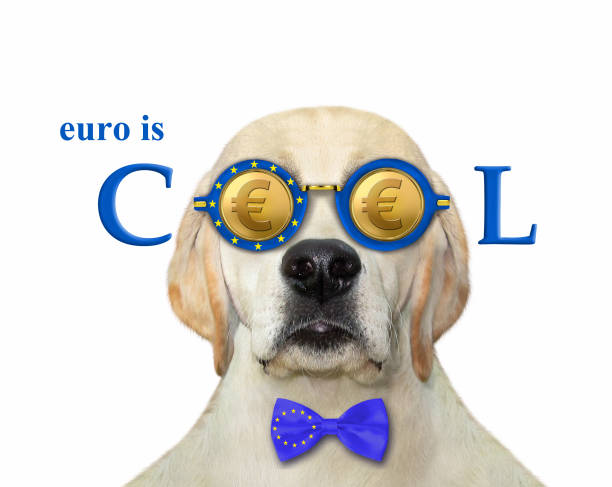 istock Dog in euro cool glasses 1302390107