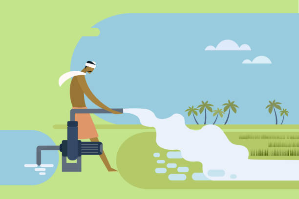 illustrations, cliparts, dessins animés et icônes de fermier indien pompant l’eau à la rizière - skill agriculture horizontal outdoors