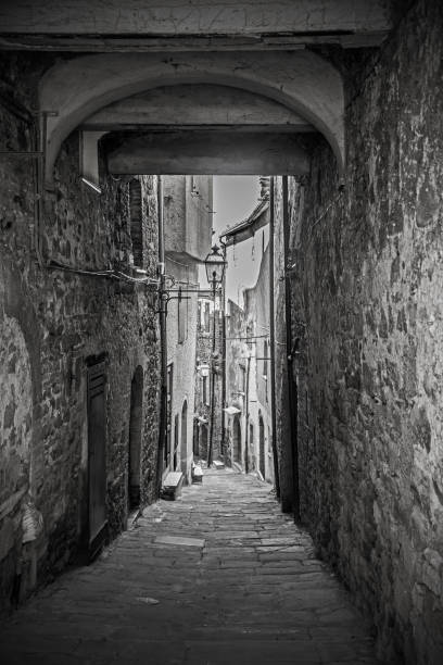 istock Alley in Montemerano, Tuscany 1302392519