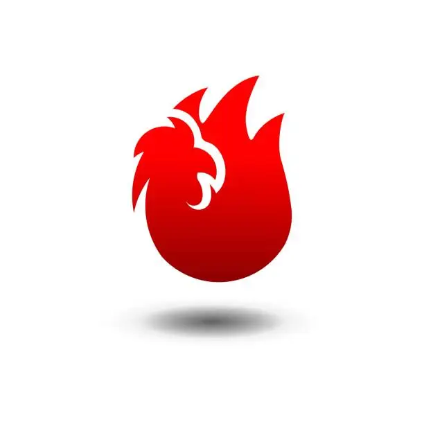 Vector illustration of fiery rooster . fire and chicken  combination. spicy chicken fast food  design illustration
