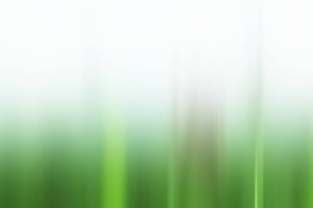 istock White and soft green gradient colors abstract background. 1302394304