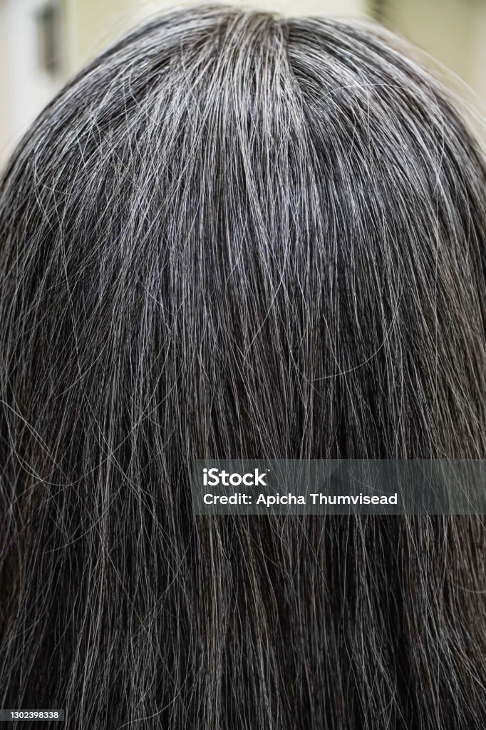 Premature Gray Hair Asian People Are Caused By Stress Stock Photo - Download Image Now - iStock Premature Gray Hair Asian People Are Caused By Stress Stock Photo - Download Image Now - iStock