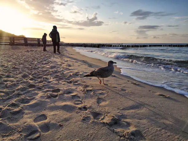 Mecklenburg Baltic Sea Coast, Kühlungsborn