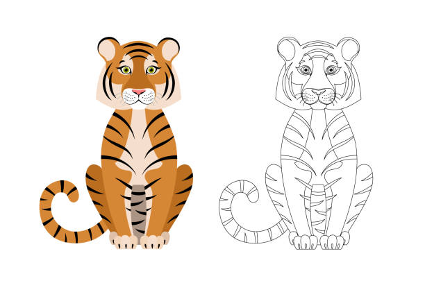 201 Tiger Outline Drawing Pictures Illustrations & Clip Art - iStock