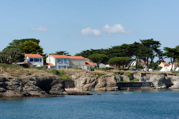 klippen der insel noirmoutier in loire atlantique - vendee stock-fotos und bilder