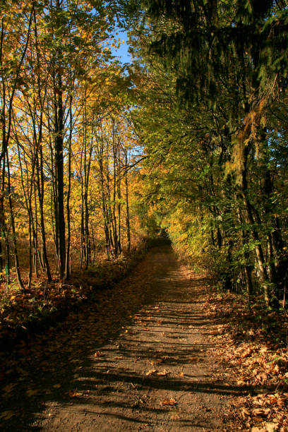 istock Autumn path in mountains village. Pasterka 1302409503