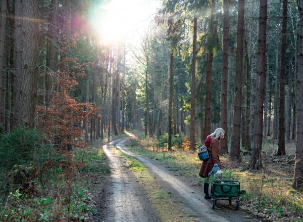 Mother walking with a kid in wagon in a forest
