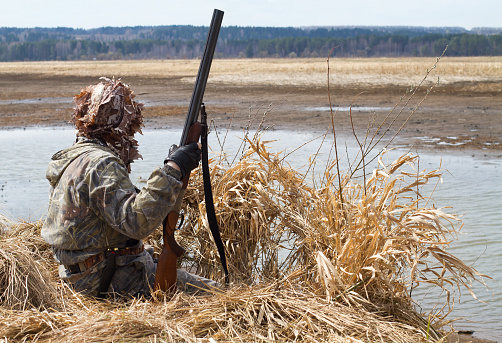 duck hunter with a shotgun sitting next to the blind of reeds on the lake