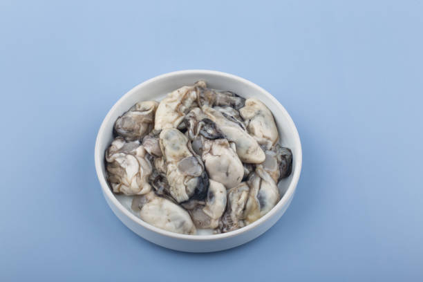 fresh seafood raw oyster on white background. - pacific oyster imagens e fotografias de stock