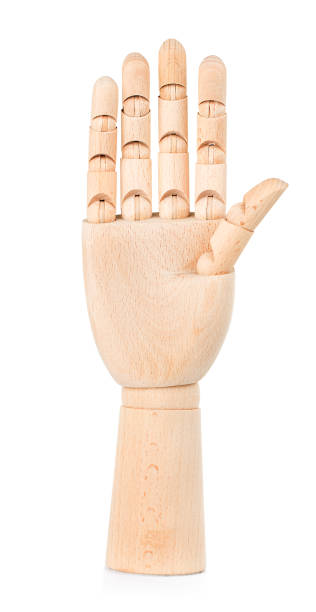 istock Wooden hand isolated on a white background. 1302414748
