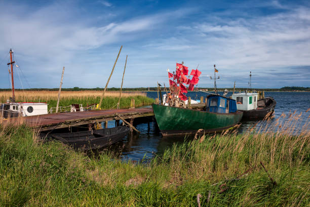 Fishing boats