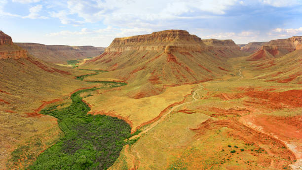 istock Aerial view of valley and cliffs 1302416229
