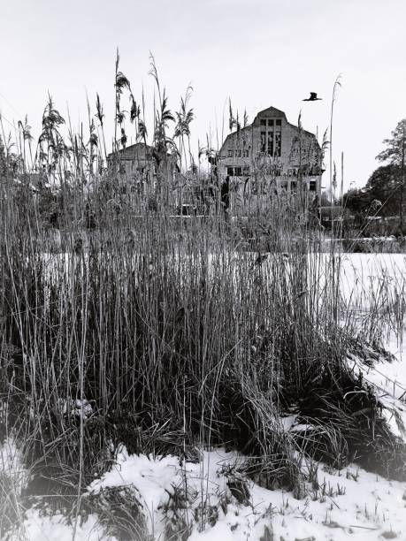 зима на канале - winter city germany brandenburg стоковые фото и изображения