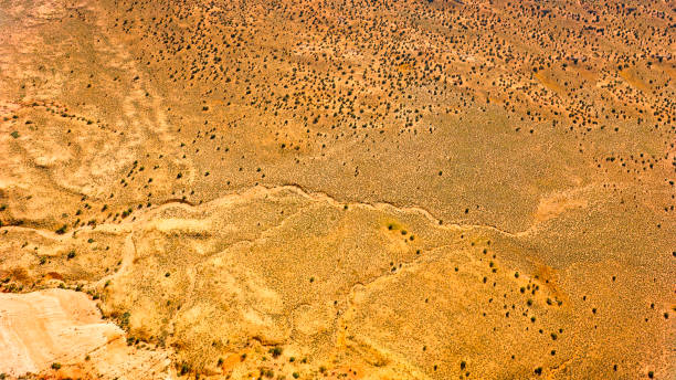 istock Aerial view of desert landscape 1302416889