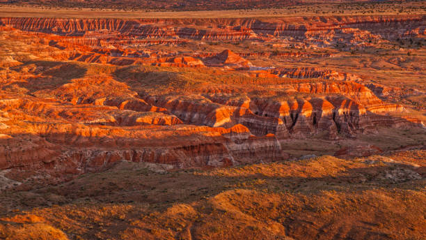 istock Aerial view of desert landscape 1302416962