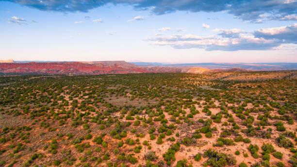 istock Aerial view of desert landscape 1302416969