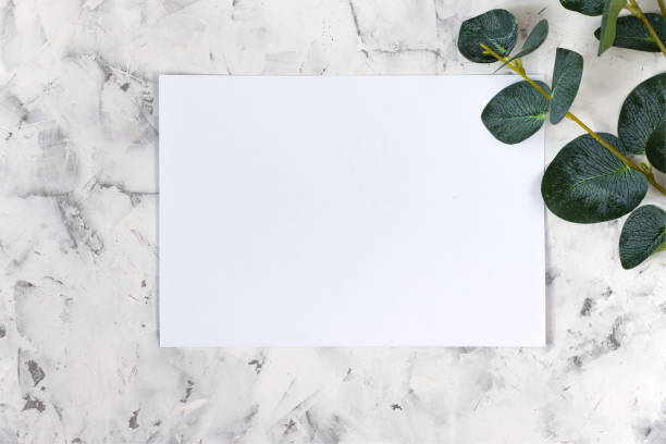 istock Eucalyptus branch on a white marble background. Blank invitation. Flat lay. 1302418031