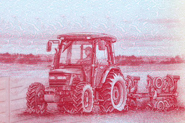 From behind, a Sikh farmer drives a tractor through the vast agricultural expanse, accompanied by his family, against the backdrop of fertile fields. This scene reflects the timeless rhythm of rural life and the importance of family in agricultural traditions.