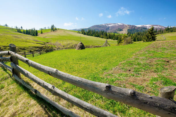 istock mountainous rural landscape in spring 1302419167