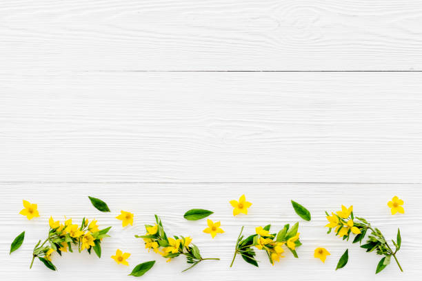 istock Pattern of yellow flower buds, overhead view 1302419878