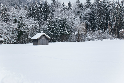 Snow covered barn in front of a wintry forest in the Bavarian Alps.