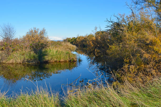 istock Grado Lagoon in Winter, Italy 1302421964
