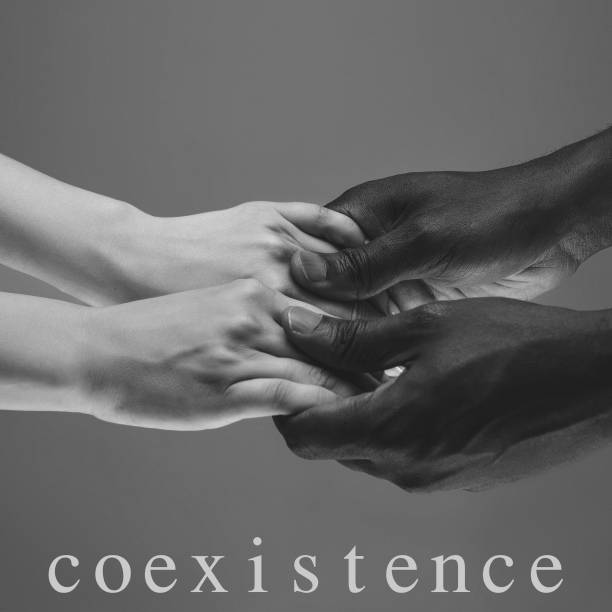 istock African and caucasian hands gesturing on gray studio background, tolerance and equality concept 1302422126