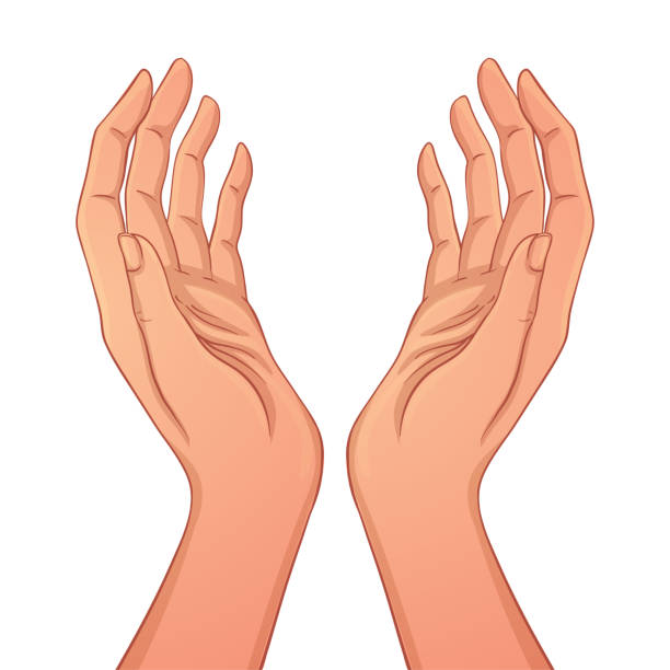 Open hands. Isolated vector illustration. vector art illustration