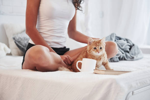 istock Cup, book and nice cat. Attractive blonde resting on the white bed with her cute kitten 1302423422