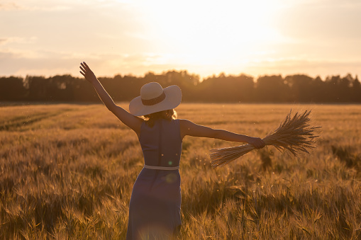 Silhouette of a girl with an armful of spikelets of wheat in her hands against the backdrop of the setting sun