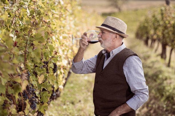 istock Senior men tasting wine in vineyard 1302424903