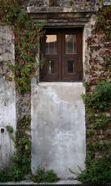 istock window old plant background with stone wall 1302426019