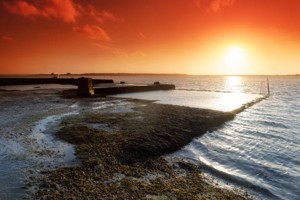 Oyster farm in Plouharnel bay. Morbihan coast